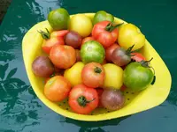 093.webp