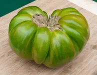 097.webp