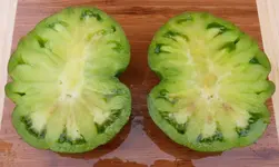 103.webp