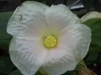 PICT0129.webp
