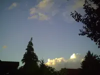 PIC00009.webp