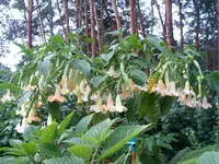 27.08. AR.webp