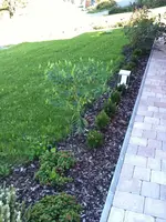 IMG_0325-small.webp