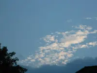 IMG_2330.webp