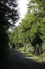 IMG_2007.webp