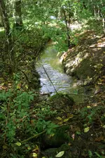IMG_1994.webp