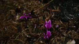 DSC04000.webp