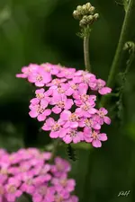 blog_3850.webp