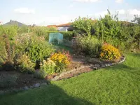 K1024_roter Fächerahorn - Übersicht Gartenbeet.webp