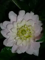 DSCI1218.webp