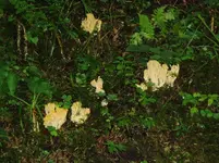P8280005 Große Webansicht.webp