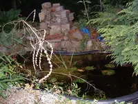 DSCF0018.webp
