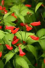 IMG_6453.webp