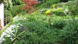beidebeete (10).webp