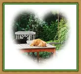 Chris Chris Garten.webp