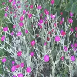 01-02a.webp