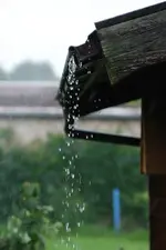 regen-6718a.webp