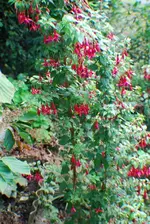 DSC_0048.webp