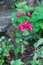 DSC_0073.webp