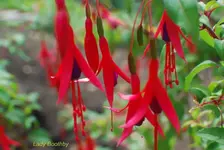 DSC_0175.webp