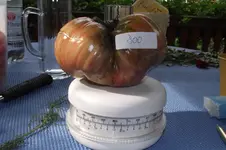 Garten 010.webp
