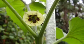 SDC12831.webp
