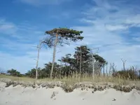 West Beach 1.webp