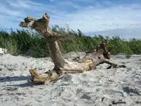 West Beach 2.webp