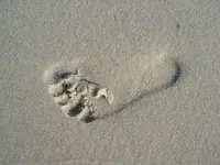 West Beach 4.webp