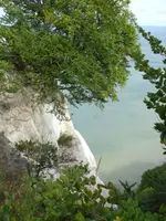Jasmund 4.webp
