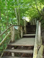 Jasmund 6.webp
