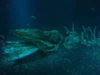 Ozeaneum 5.webp