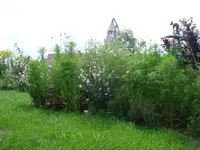 Sitzecke verschwunden.webp