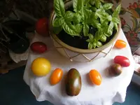 DSCF2045.webp