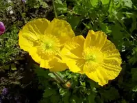 August 2010 394 v.webp