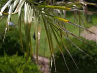 P8315571.webp