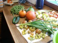 Ernte 29.08.2010 015.webp