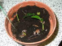 DSCF3993.webp