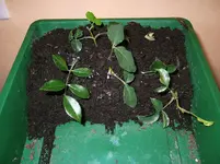 DSCF3994.webp