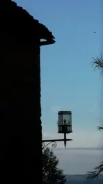 IMGA0129.webp IMGA0129.webp