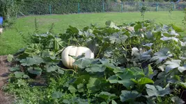 S7305359.webp