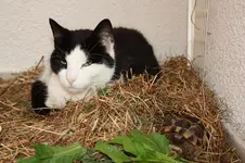Theo und Pauli.webp