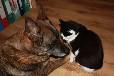 Kyra und Theo.webp
