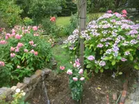 6.8.2010 063.webp