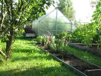 Garten h.webp