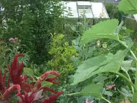 k-DSCF0068.webp
