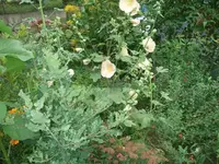 k-DSCF0069.webp