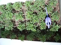 DSCF0563.webp