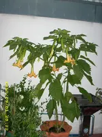 DSCI0164.webp