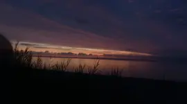 P1060011.webp